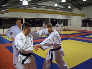 22-mei-2010-kata-bunkai-1