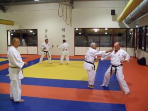 22-mei-2010-kata-bunkai-2 22-mei-2010-kata-bunkai-2
