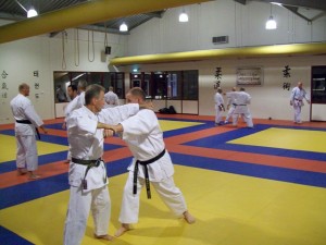 22-mei-2010-kata-bunkai-3 22-mei-2010-kata-bunkai-3