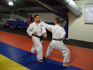 22-mei-2010-kata-bunkai-4